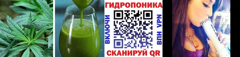купить наркотики сайты  Сольцы  Canna-Cookies конопля 