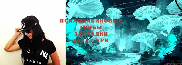 хмурый Абинск