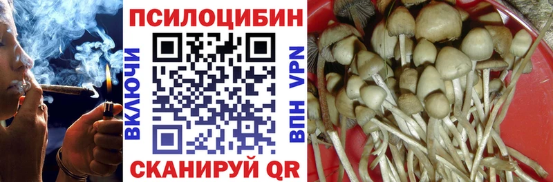 Псилоцибиновые грибы мухоморы Сольцы
